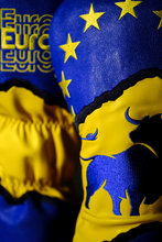 Load image into Gallery viewer, Europe - Driver Cover