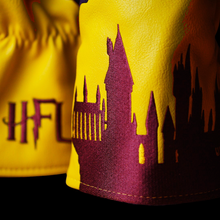 Load image into Gallery viewer, The Lion Driver Cover