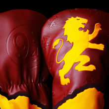 Load image into Gallery viewer, The Lion Driver Cover