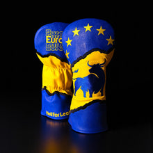 Load image into Gallery viewer, Europe - Driver Cover