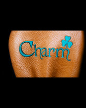Load image into Gallery viewer, Hellfire Tour - Charm Fairway Wood Cover &amp; Marker
