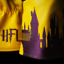 Load image into Gallery viewer, The Lion Driver Cover
